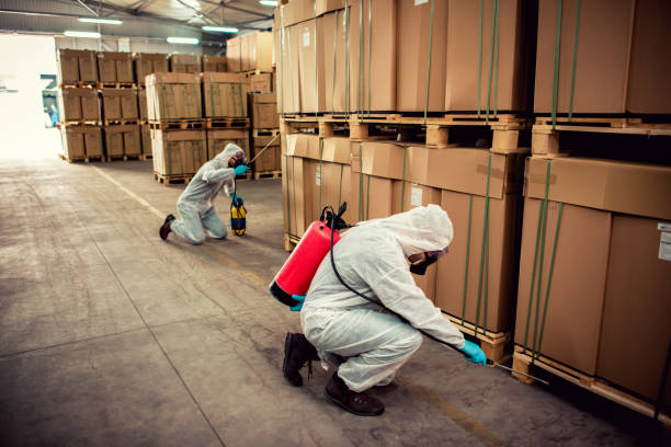 Reliable Ridgefield, NJ Pest Control Solutions