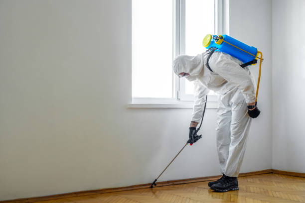Best Ant Control Services  in Ridgefield, NJ